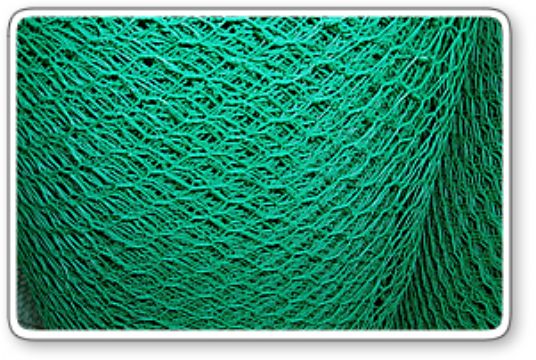 Hexagonal Wire Mesh